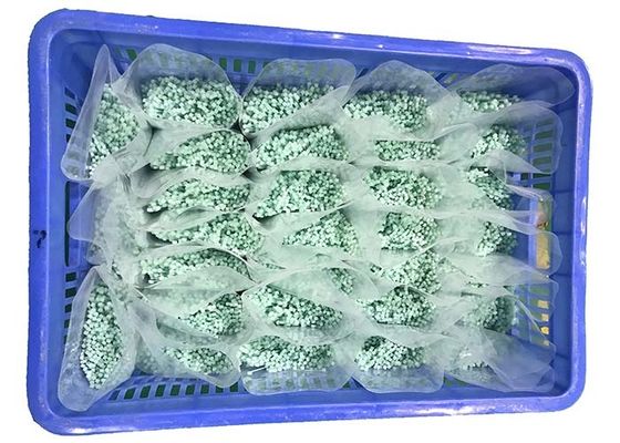 Beli MENCAPAI Sedikit Hijau Ikatan Kabel Nylon 120 Derajat 2.5mm online manufacture